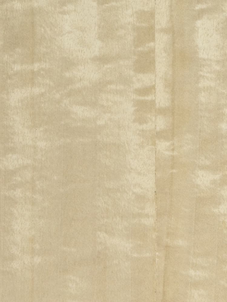 Dyed Aniegre 04