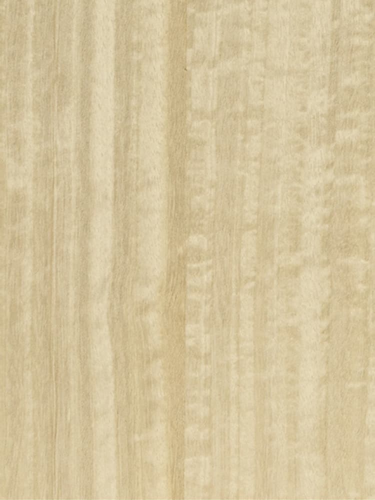 Dyed Eucalyptus 02