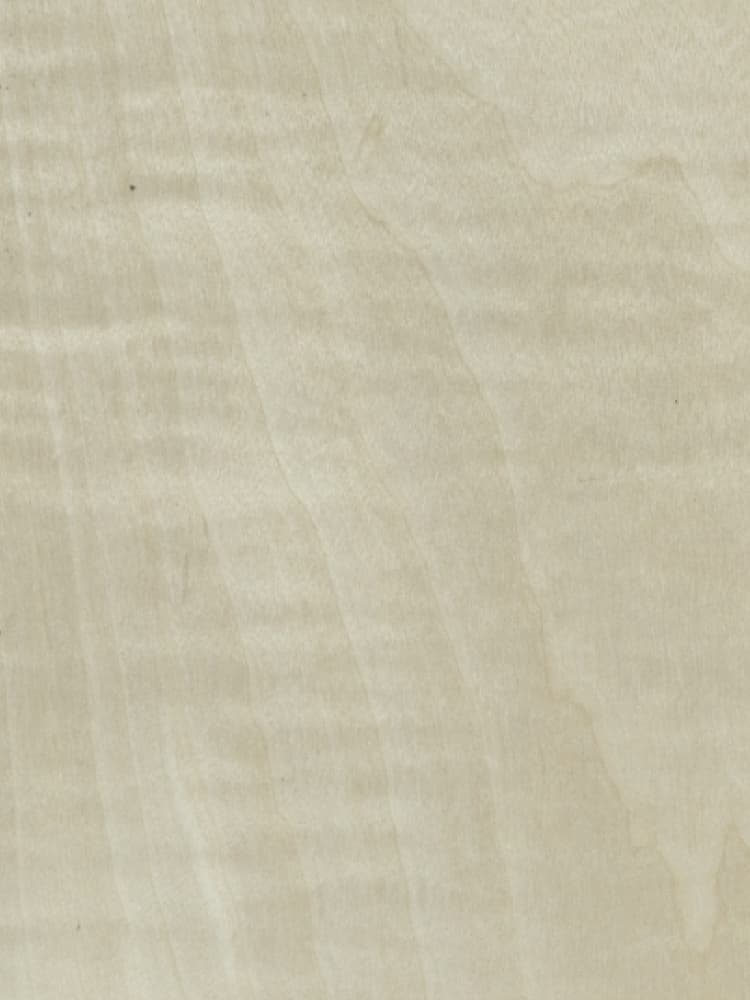 Dyed Figured Maple 02