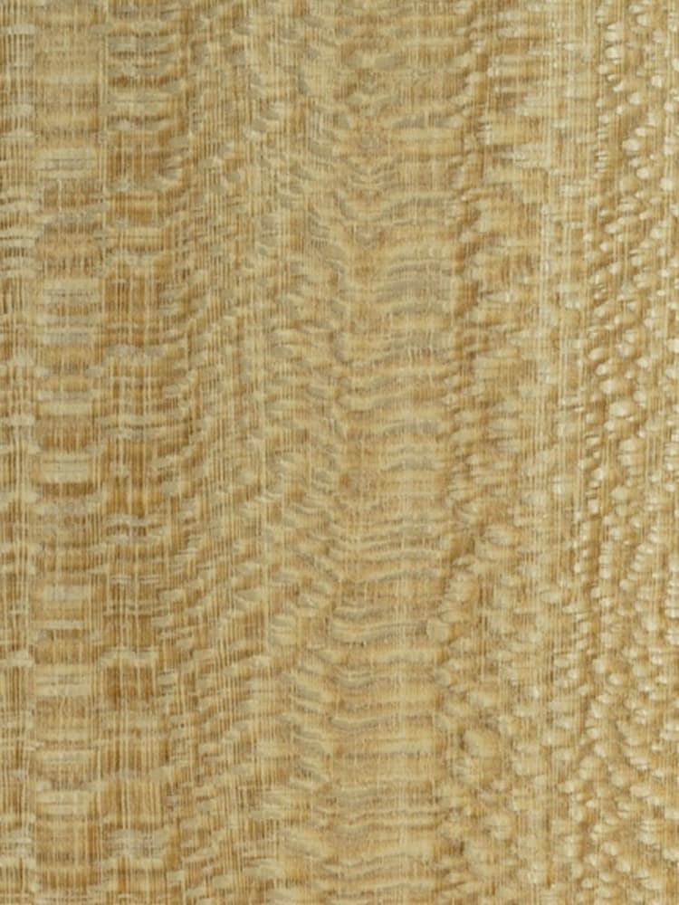 Dyed Lacewood 03