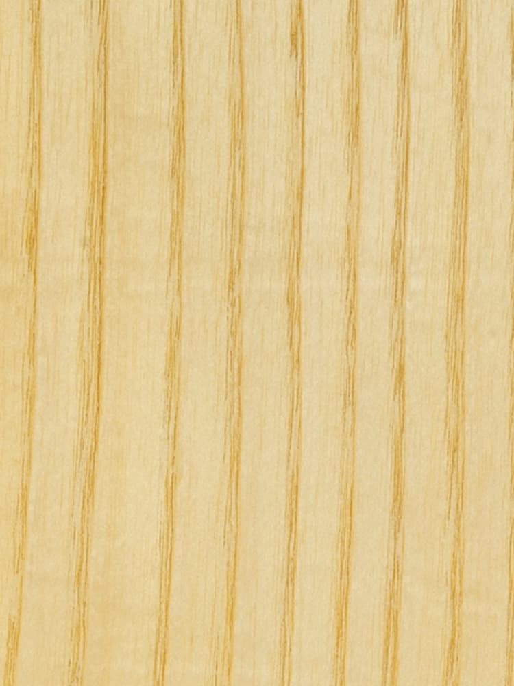 American White Ash