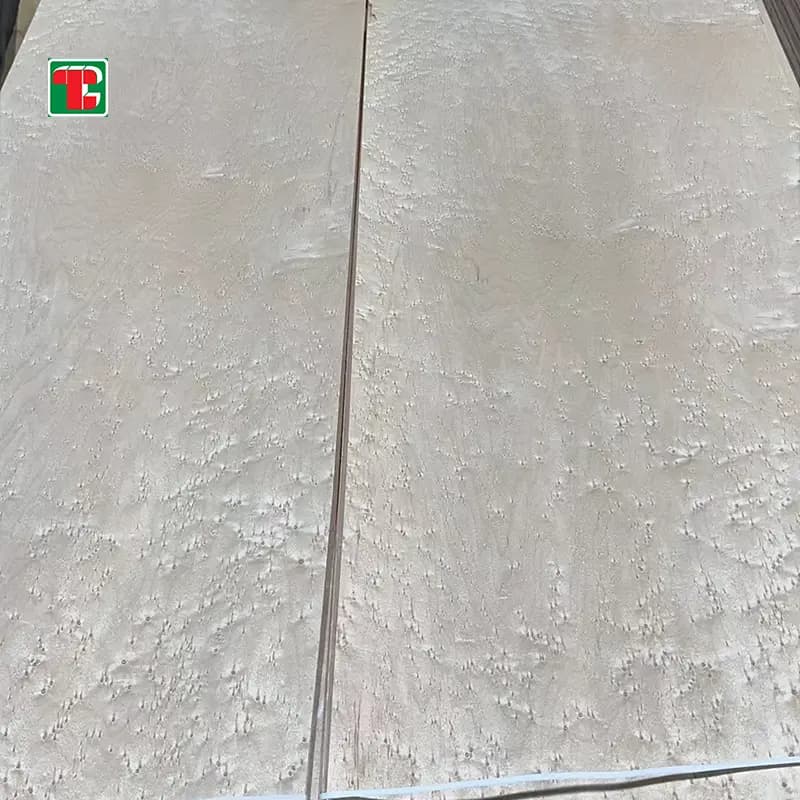 AAA Birds Eye Maple Natural Wood Veneer Sheets for furniture, doors and decorative panels 2