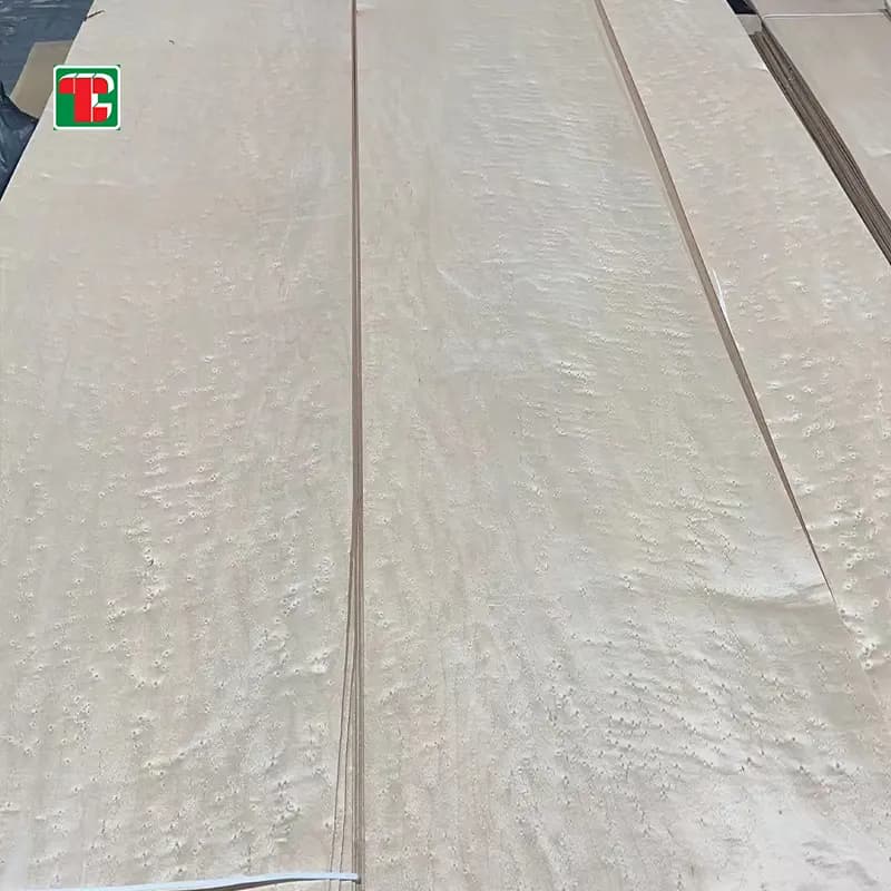 AAA Birds Eye Maple Natural Wood Veneer Sheets for furniture, doors and decorative panels 5