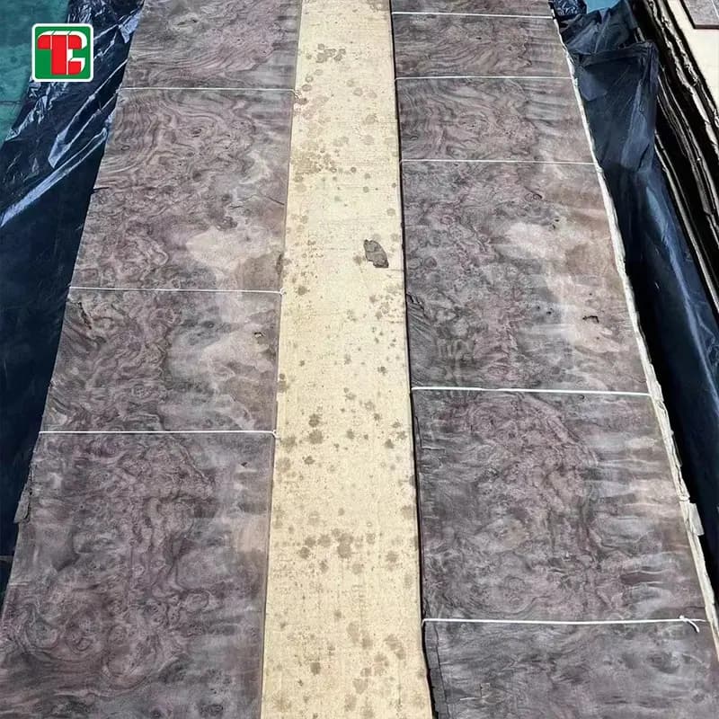 Black Walnut Burl Natural Wood Veneer Sheets for furniture, doors and decorative panels 3