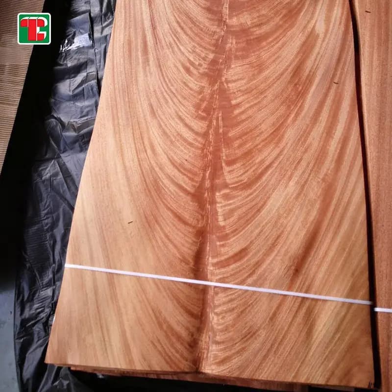 Mahogany Crotch Burl Natural Wood Veneer Sheets for furniture, doors and decorative panels 3