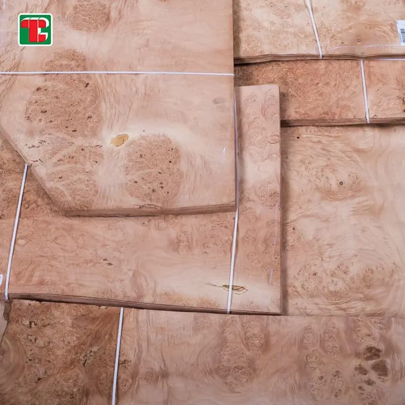 Mappa Maple Burl Natural Wood Veneer Sheets for furniture, doors and decorative panels 2