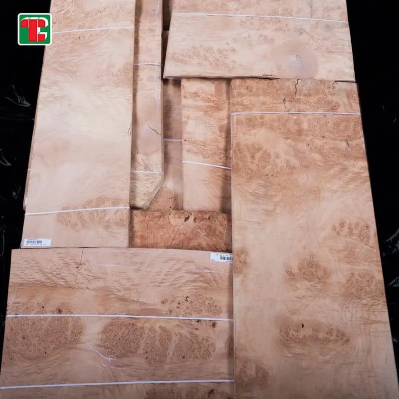 Mappa Maple Burl Natural Wood Veneer Sheets for furniture, doors and decorative panels 3