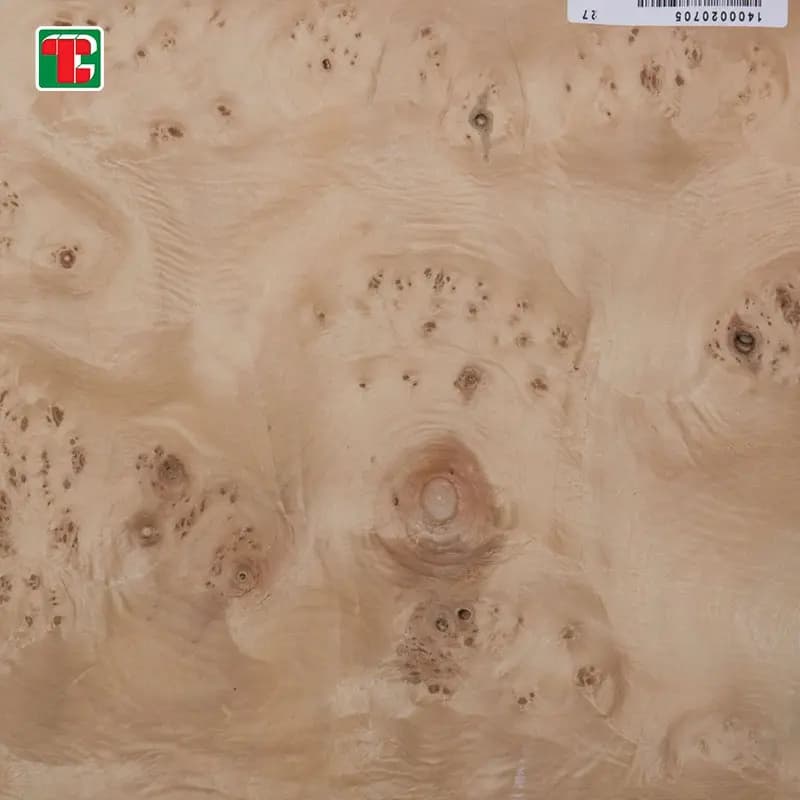 Mappa Maple Burl Natural Wood Veneer Sheets for furniture, doors and decorative panels 5
