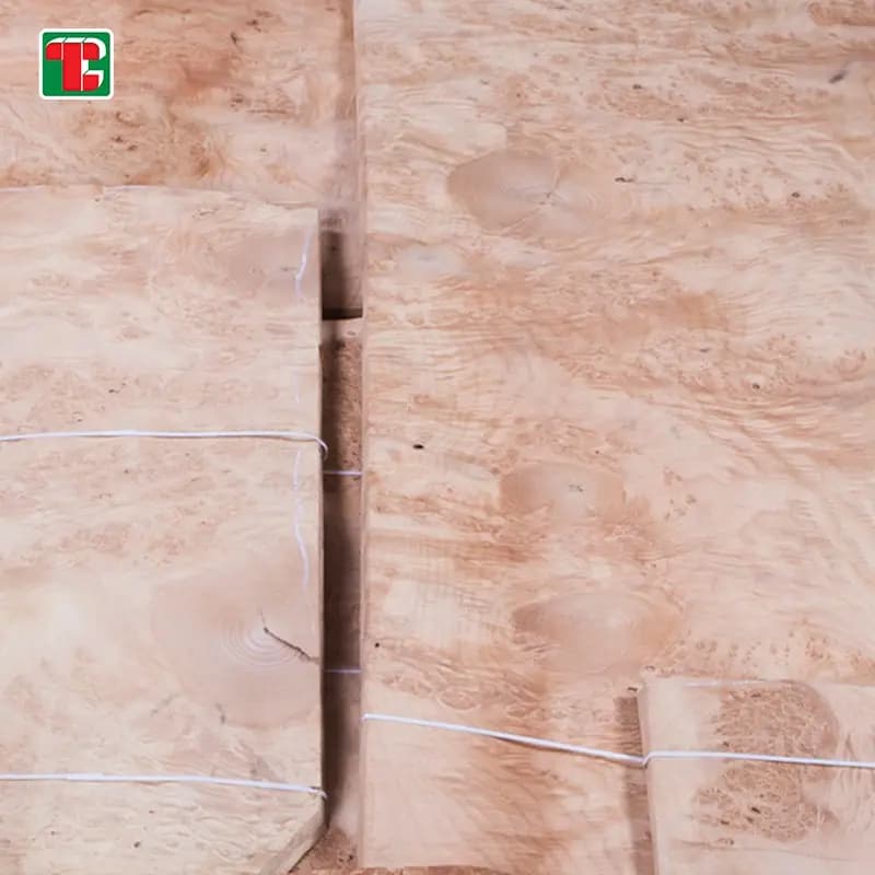 Mappa Maple Burl Natural Wood Veneer Sheets for furniture, doors and decorative panels 6