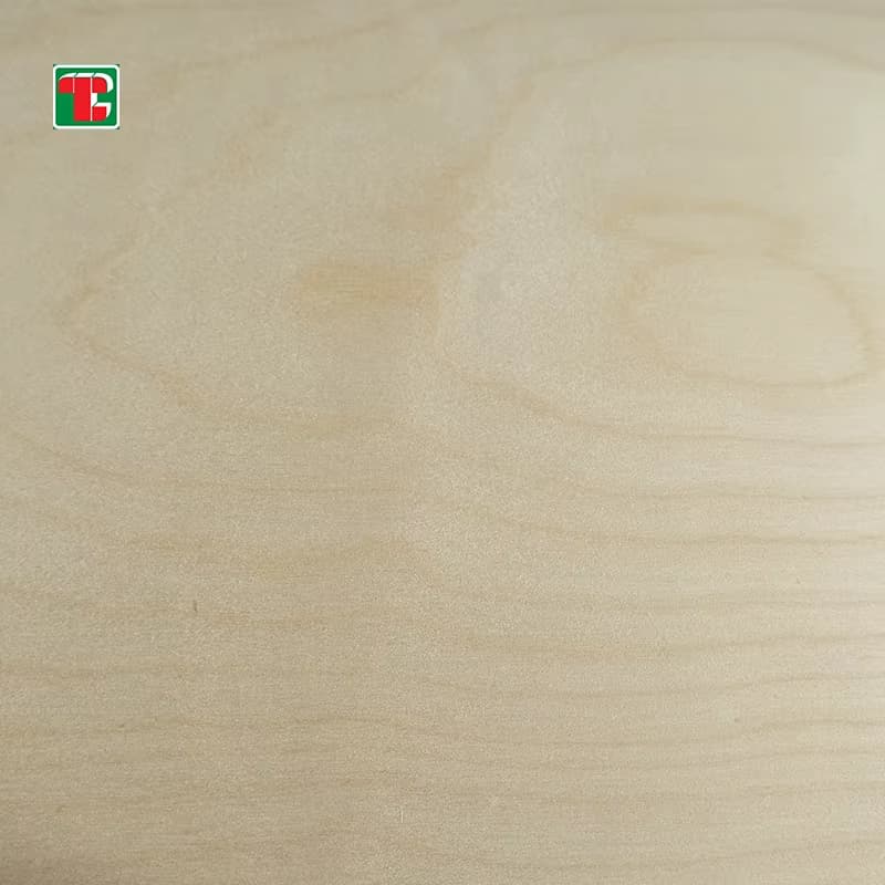 3/4 inch birch plywood 4x8 BB CP grade sheet for furniture and cabinet manufacturing 2