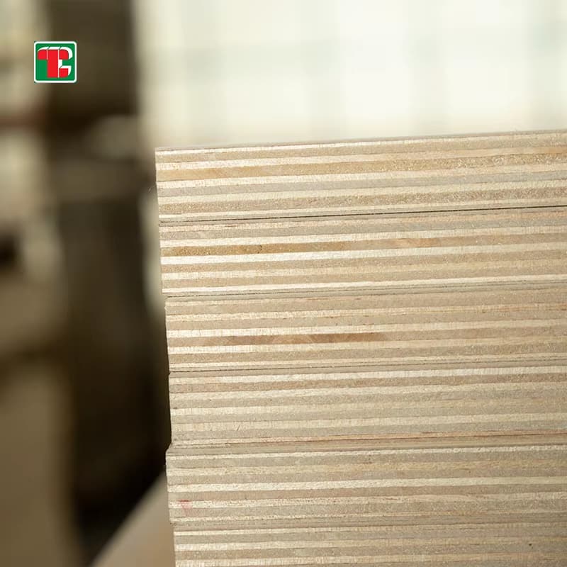 3/4 inch birch plywood 4x8 BB CP grade sheet for furniture and cabinet manufacturing 3