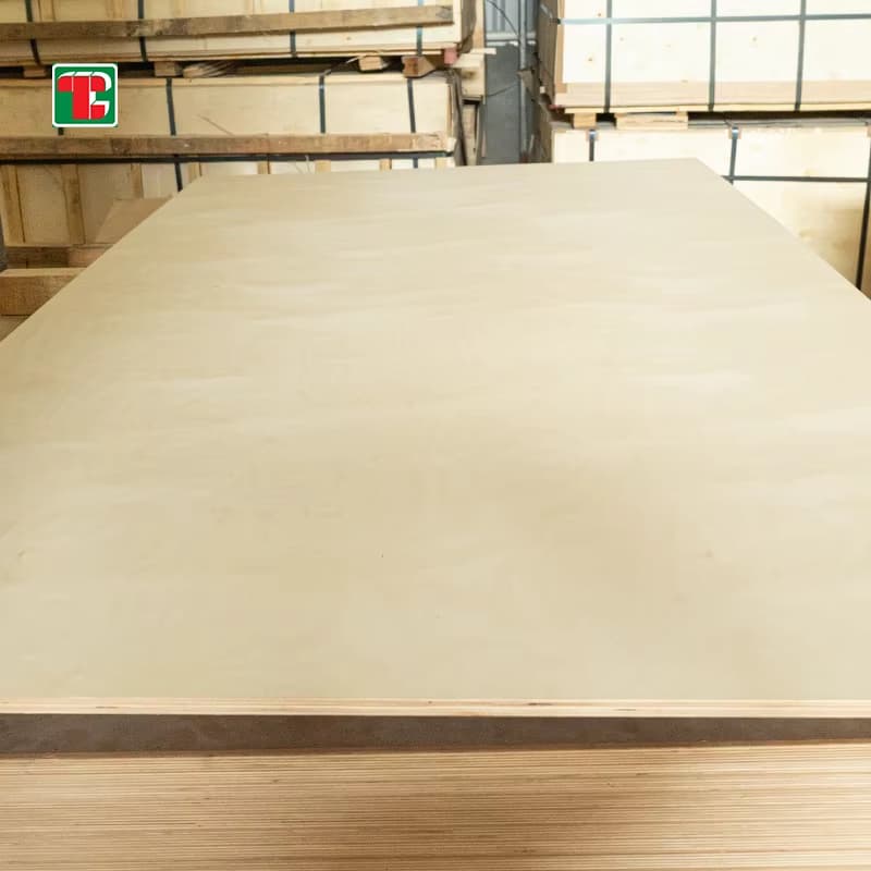 3/4 inch birch plywood 4x8 BB CP grade sheet for furniture and cabinet manufacturing 6