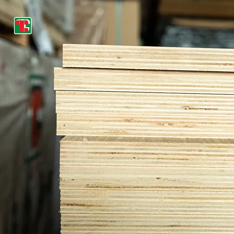 18mm EV eucalyptus commercial plywood sheet for furniture and cabinet manufacturing 4