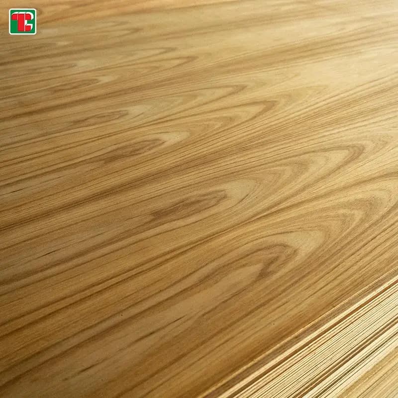 Crown Cut Teak Veneer Ply Board - Image 3