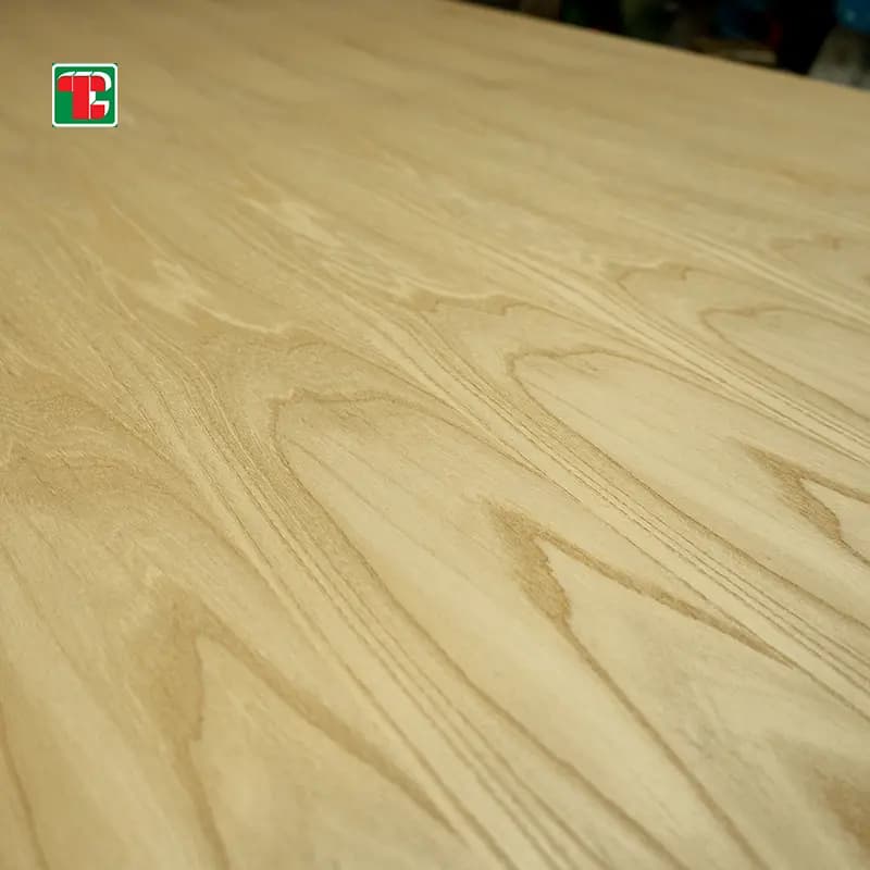 Elm Veneer Plywood - Image 2