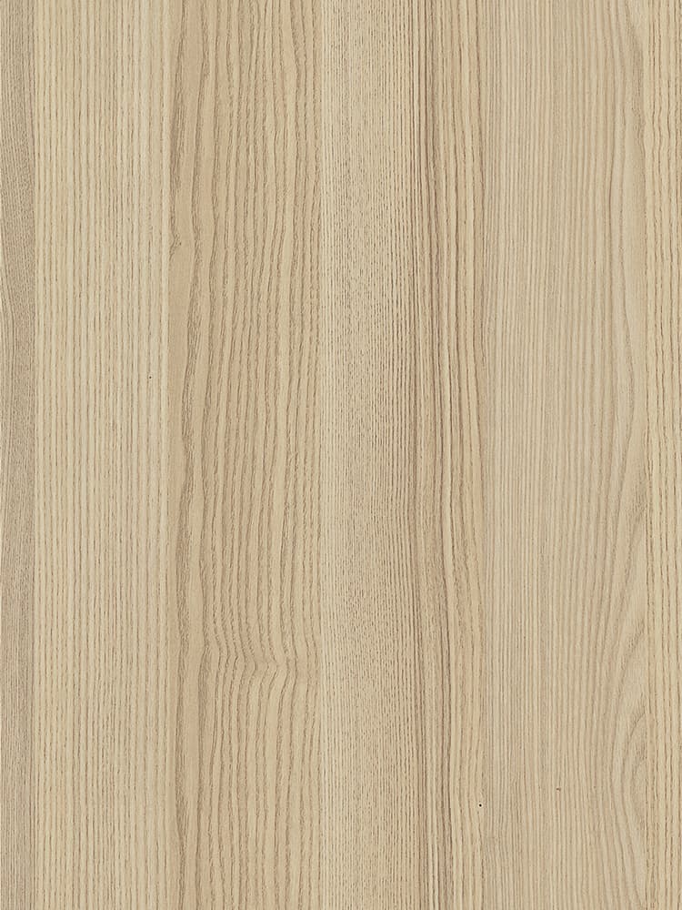 B1119