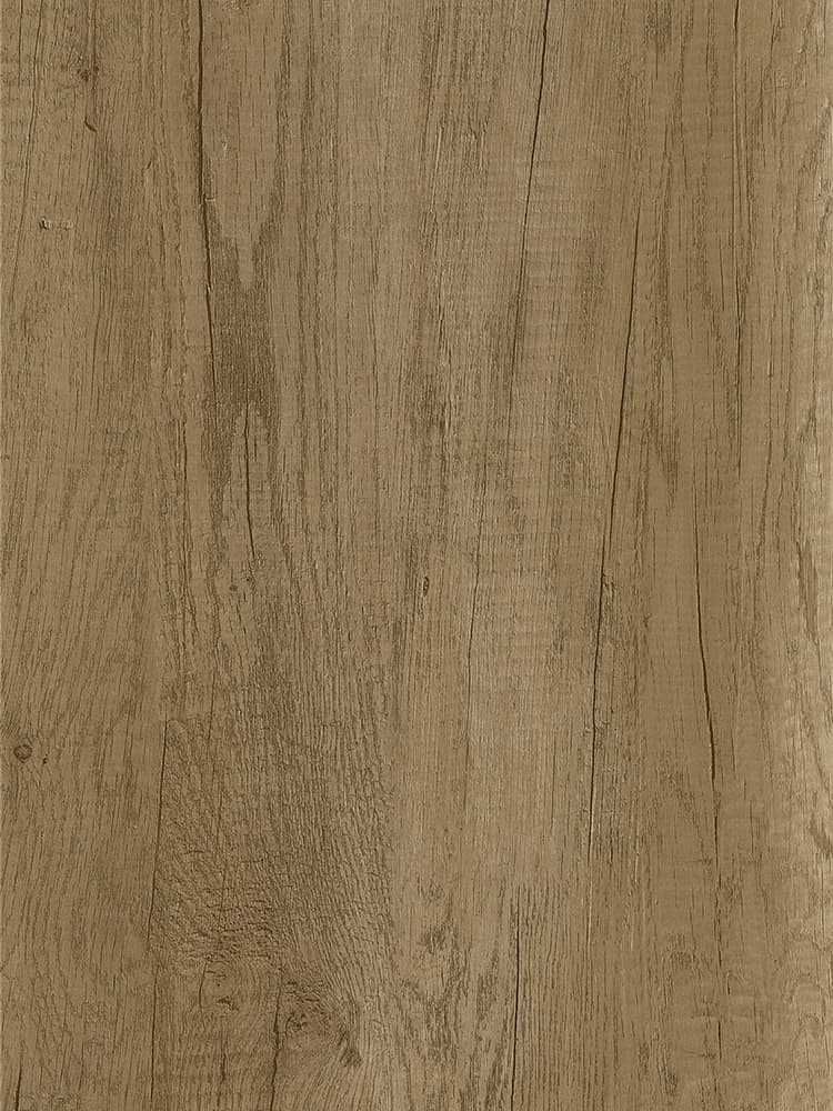 B1906
