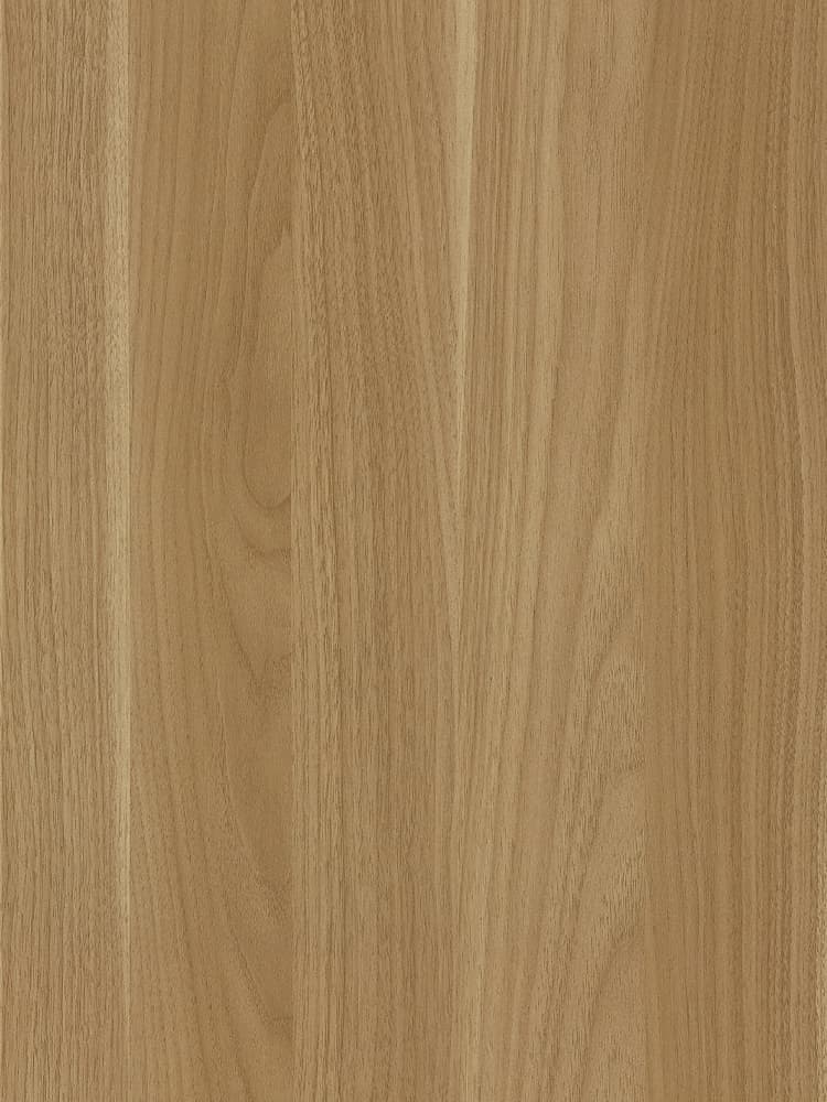 B5601