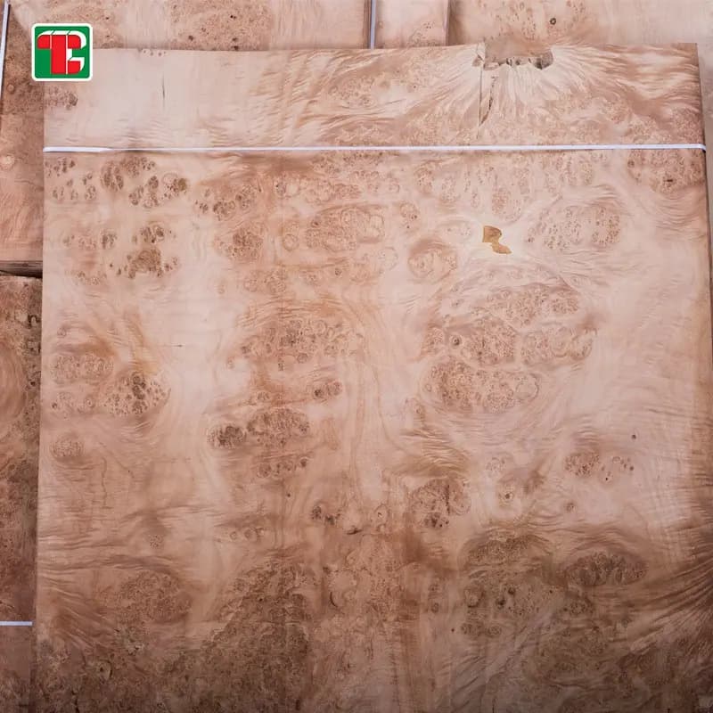 Mappa Maple Burl Natural Wood Veneer Sheets for furniture, doors and decorative panels