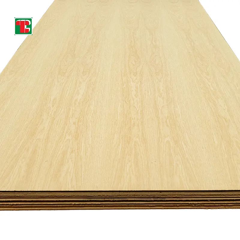 Crown Cut White Oak Veneer Plywood panel with natural cathedral grain