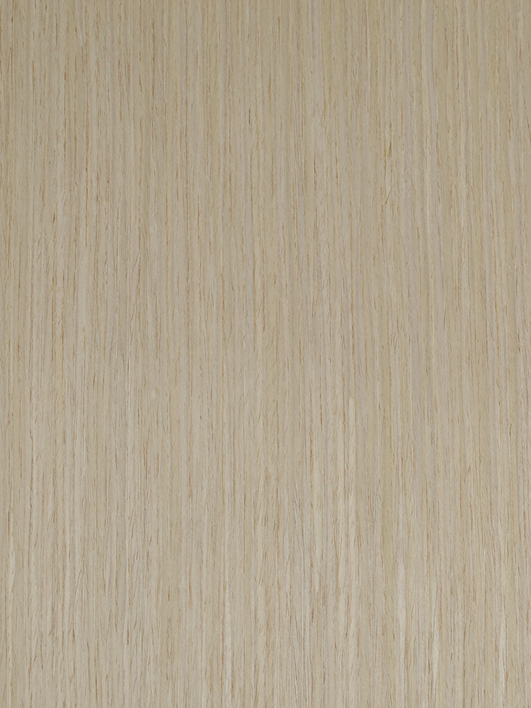 TL-H-8605N