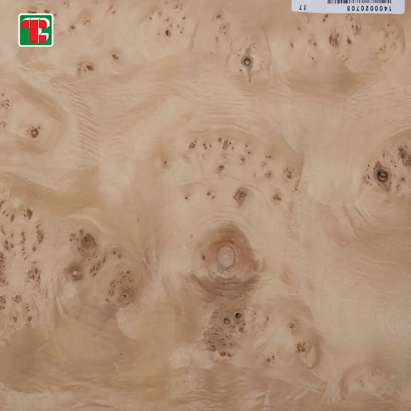 Mappa Maple Burl Natural Wood Veneer Sheets for furniture, doors and decorative panels 5