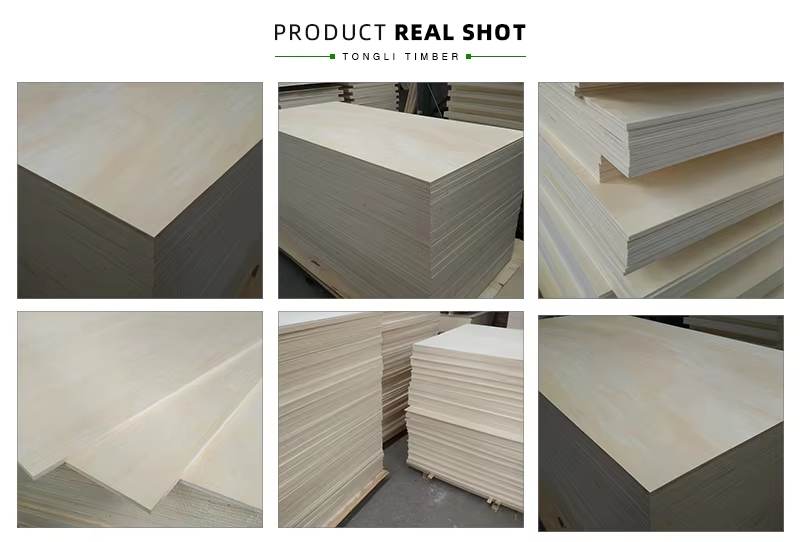 Basswood Plywood Real Shots