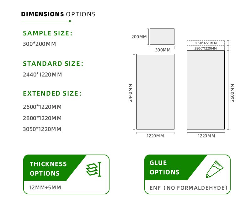 Dimension Options