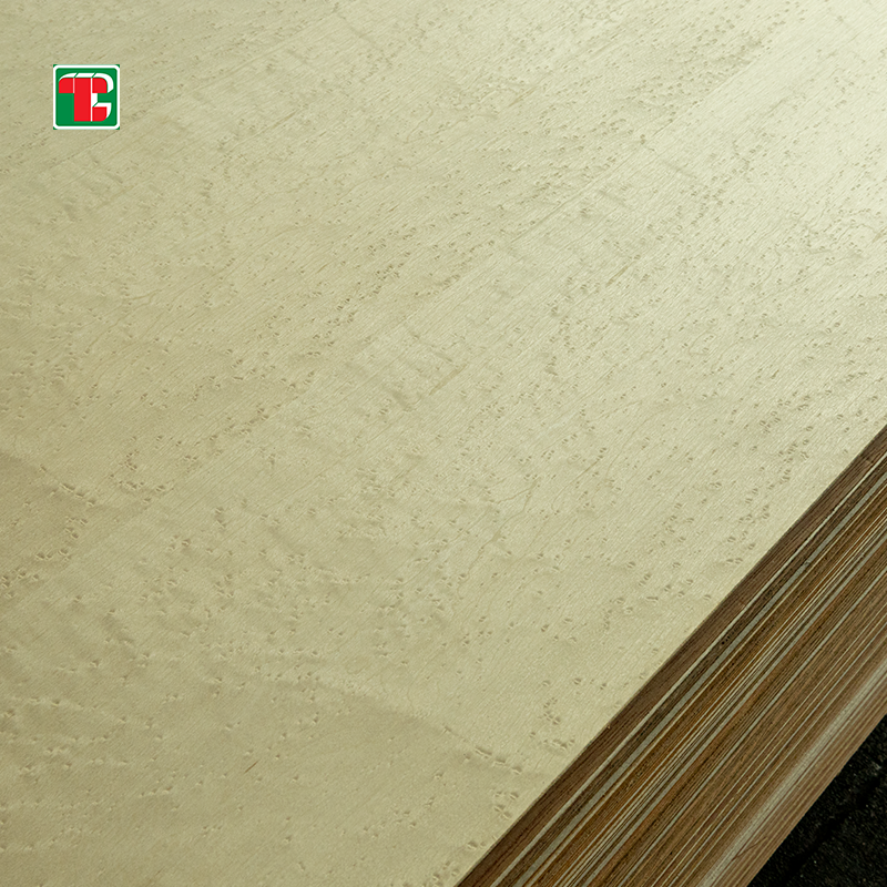 Bird's Eye Maple Veneer Plywood - Image 3